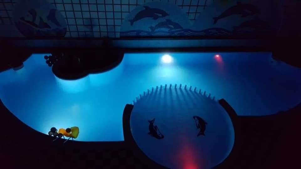 Apartman Eva Hurghada Exteriér fotografie